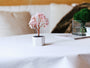 Soft Hold rose quartz crystal tree styled on a tabletop beside books and green moss decor