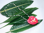 Chromatic Tide Pearl Necklace full-length arrangement with multitone pearls