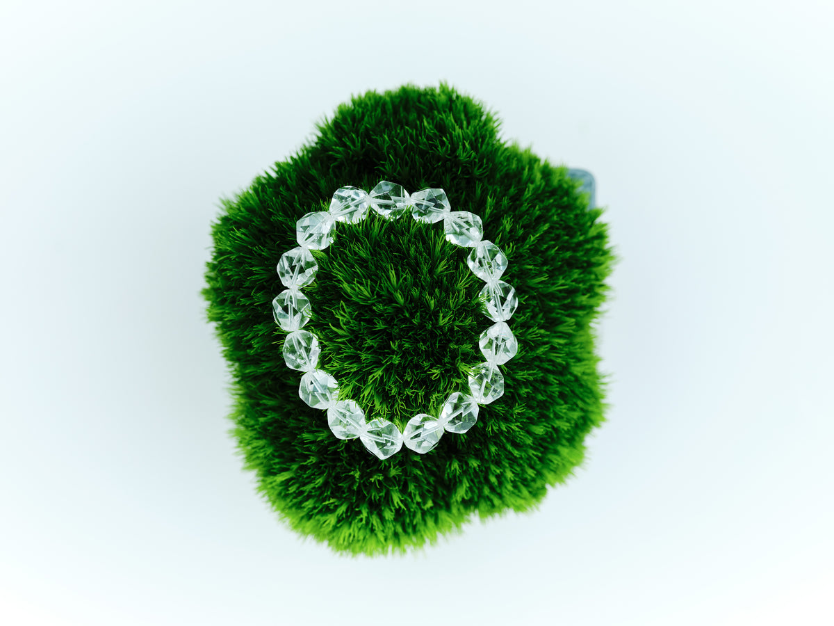 Ice Bloom Bracelet with luminous faceted clear crystal beads arranged on green moss.