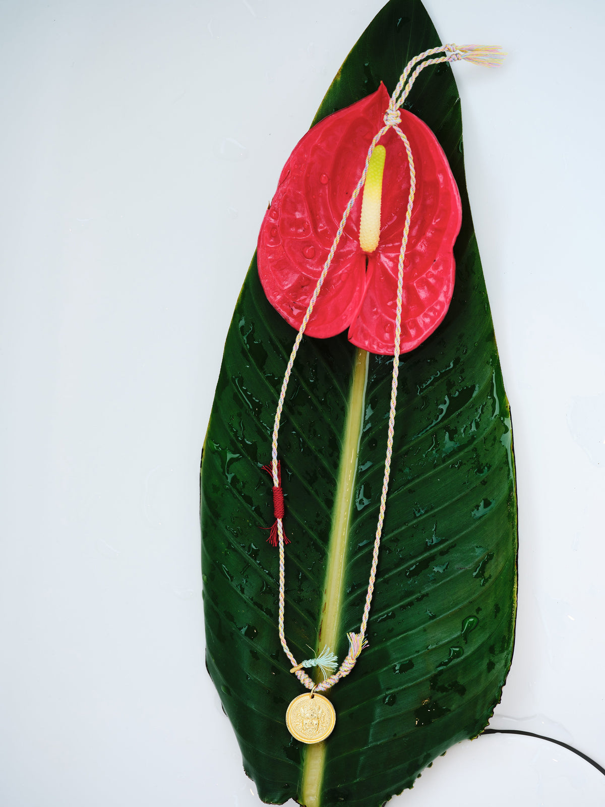 Festival Thread Necklace with pastel braided cord and round gold-plated pendant arranged vertically on a wet tropical leaf