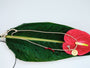 Festival Thread Necklace laid across a tropical leaf with the braided cord and gold pendant shown beside a red anthurium