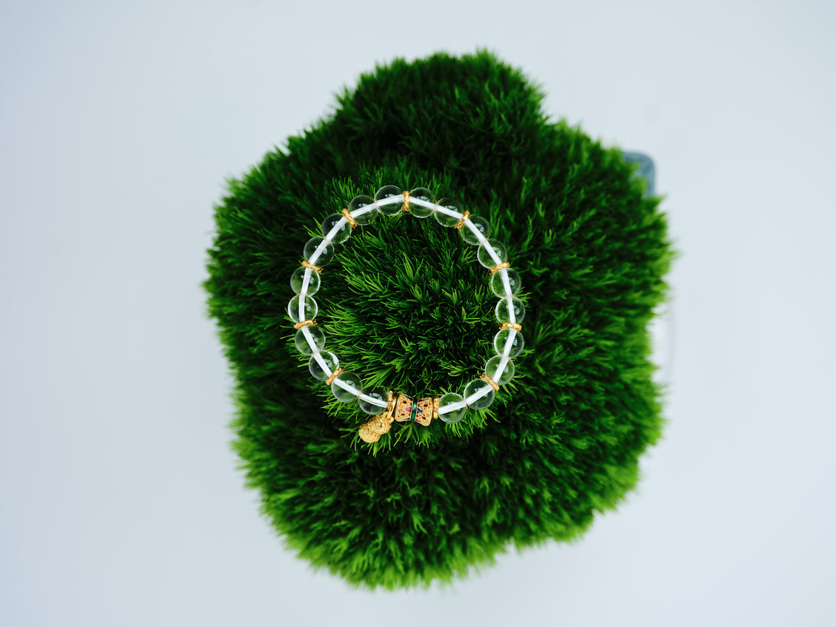 Golden Harvest clear crystal bracelet with a 24K gold-plated peanut charm arranged on deep green moss