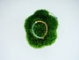 Seafoam Loop Bracelet with pale green-toned crystal beads and 24K gold-plated copper details on green moss.