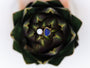 Gold-tone dyed silver-plated copper ring with lapis lazuli and freshwater pearl