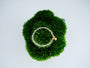 Lotus Root Bond Bracelet with clear crystal beads and a gold-toned lotus root charm on green moss.