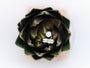 Silver-tone geometric bar and freshwater pearl open ring displayed on an artichoke